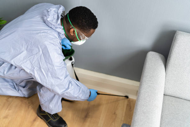 Best Bed Bug Extermination  in Culpeper, VA